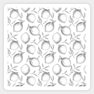 Hand drawn Lemon pattern Sticker